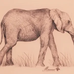 Affiche A4 éléphant